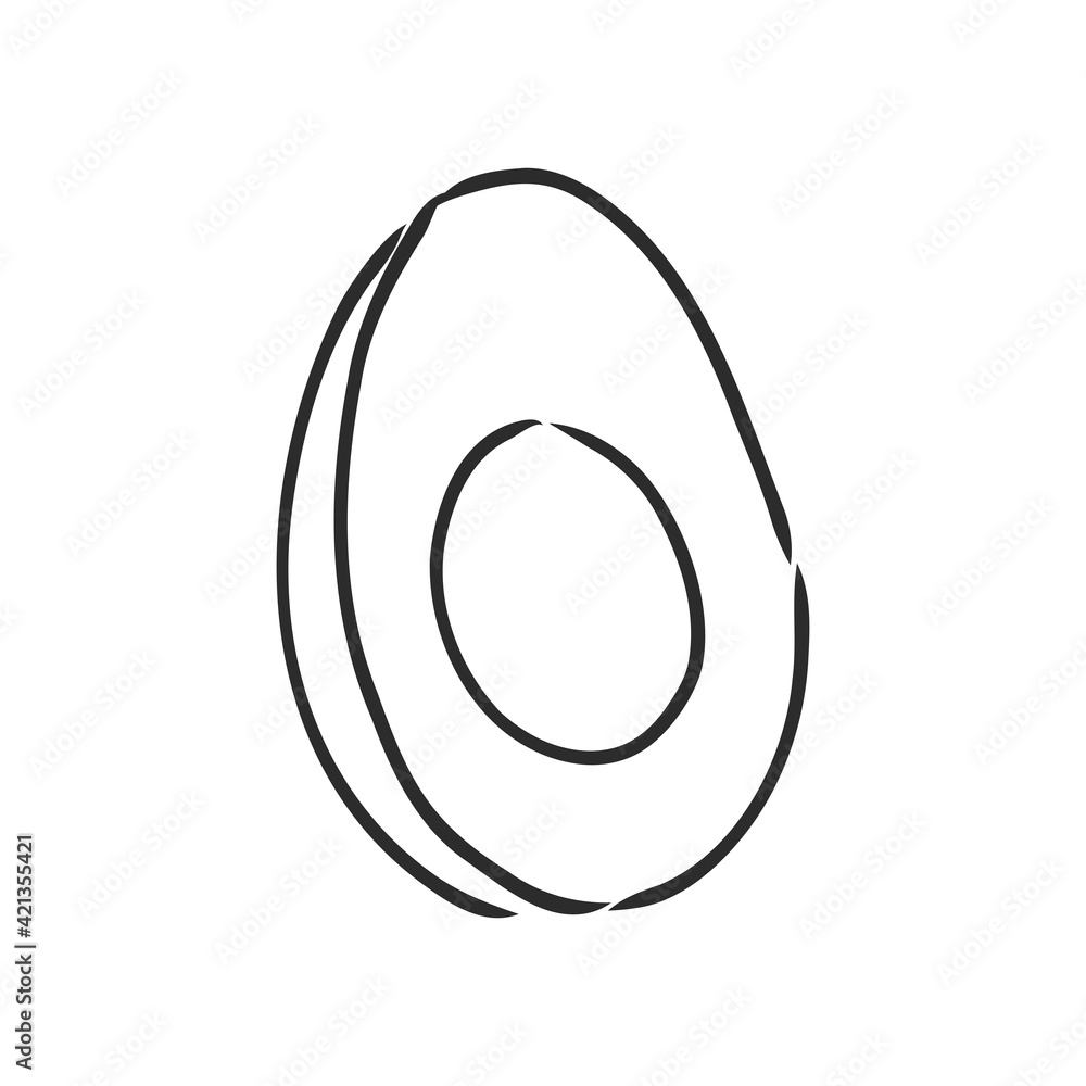 Avocado. Contour illustration. Exotic fruit in woodcut style. Isolated vector on white background. Avocado. Contour illustration. Exotic fruit in woodcut style. Isolated vector on white background.