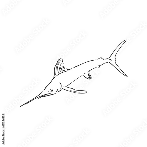 Marlin  swordfish zentangle stylized  vector  illustration  freehand pencil  hand drawn  pattern.