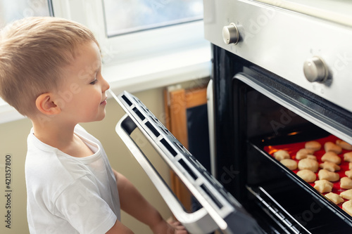 Cute adroable little caucasian blond 3-4 years boy enjoy have fun looking in open oven door checking baking sweet holiday homemade cookies. Impatient funny curious happy kid at kitchen at home