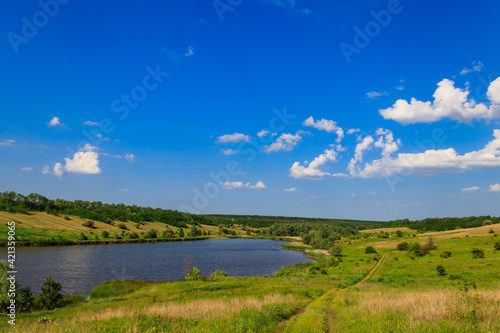 Summer landscape with beautiful lake  green meadows  hills  trees and blue sky