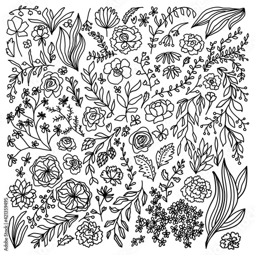 Vector black line art flowers leaves berries floral wedding botanical elements