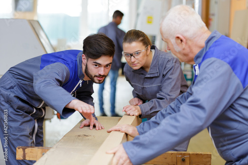 Photos trainee carpenters discussing woodworking project