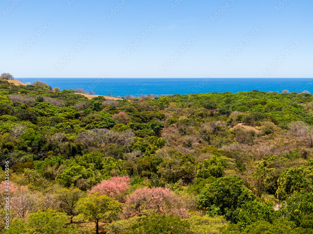 Beautiful aerial view of the Carrillo beach and ocean in Costa Rica