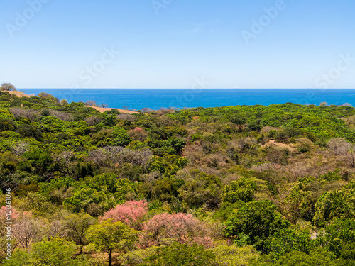 Beautiful aerial view of the Carrillo beach and ocean in Costa Rica