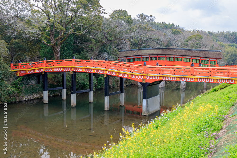 春の宇佐神宮 呉橋と菜の花 大分県宇佐市 Usazinguu in spring Kure-bridge and canola flower Ooita-ken Usa city 春の宇佐神宮 呉橋と菜の花 大分県宇佐市 Usazinguu in spring Kure-bridge and canola flower Ooita-ken Usa city