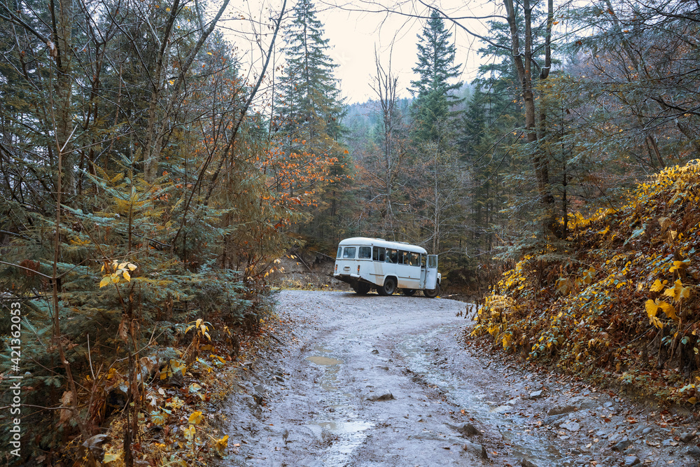 bus on a country road near the autumn forest