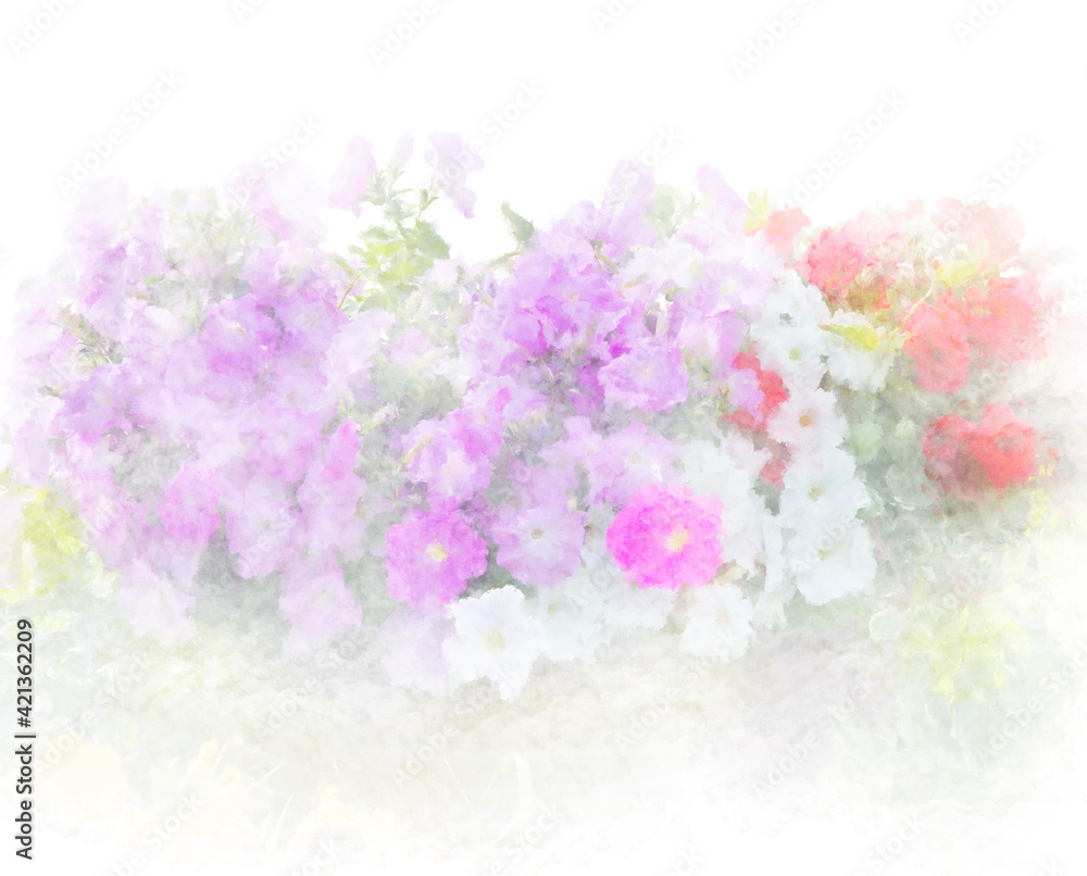 Petunia flowers watercolor painting Petunia flowers watercolor painting
