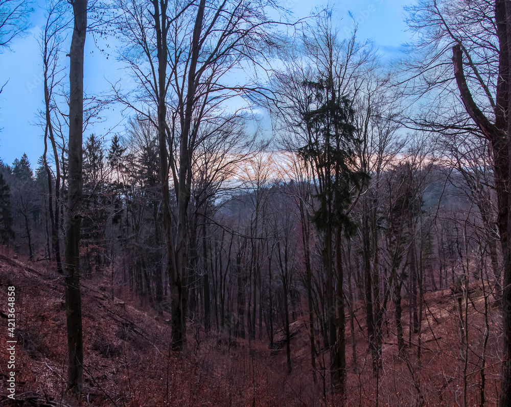 view of the spring mountains