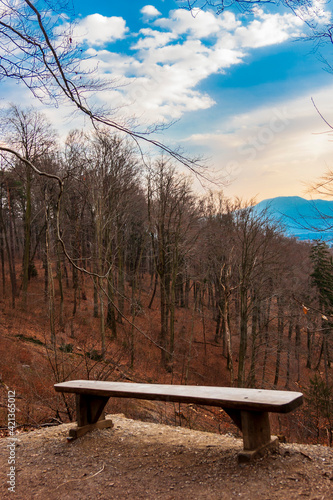 Beautiful view with bench in the park