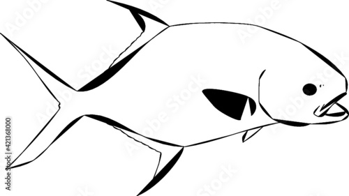 Modern Lined Permit Fish