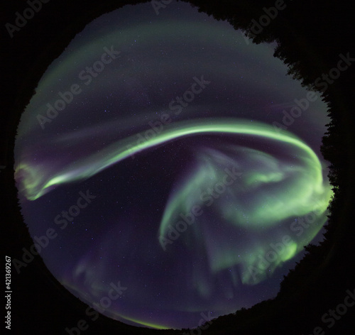 Aurora Borealis or Northern Lights in Alaska photo