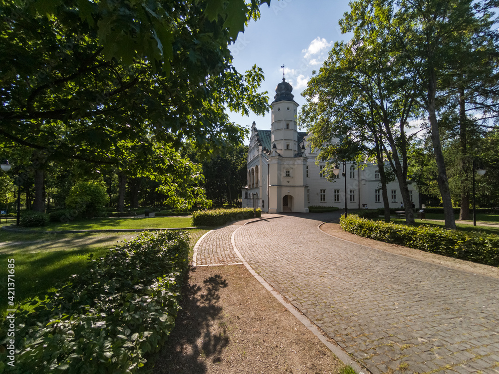 Naklejka premium Manor house in Poddebice city - Lodz voivodeship - Poland