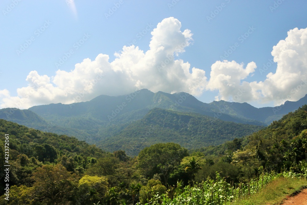 Obraz premium landscape