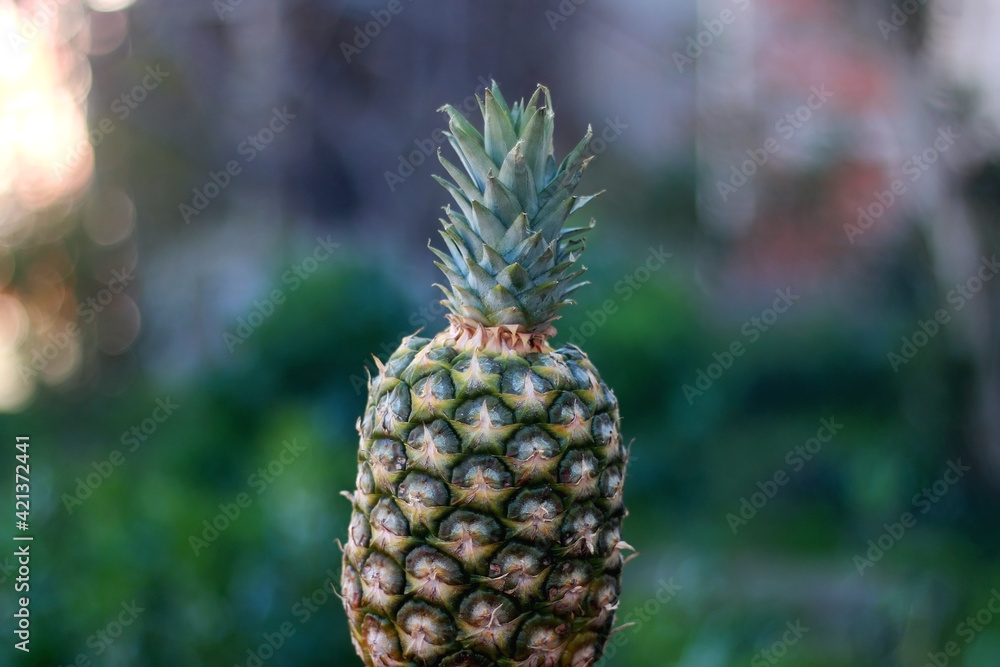 Pineapple and green background. Selective focus. Pineapple and green background. Selective focus.