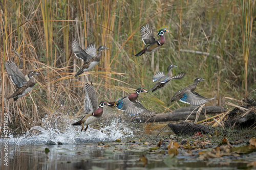 Photography USA, Washington State