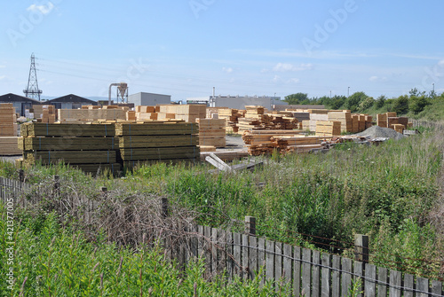 Field of Green Plants with Wooden Fence &  Timber Supplies Yard in Background © eyepals