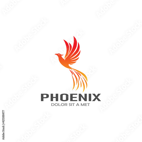 Phoenix logo template  Fire-bird  Eagle logo
