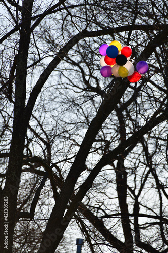 Big Bunch of Balloons