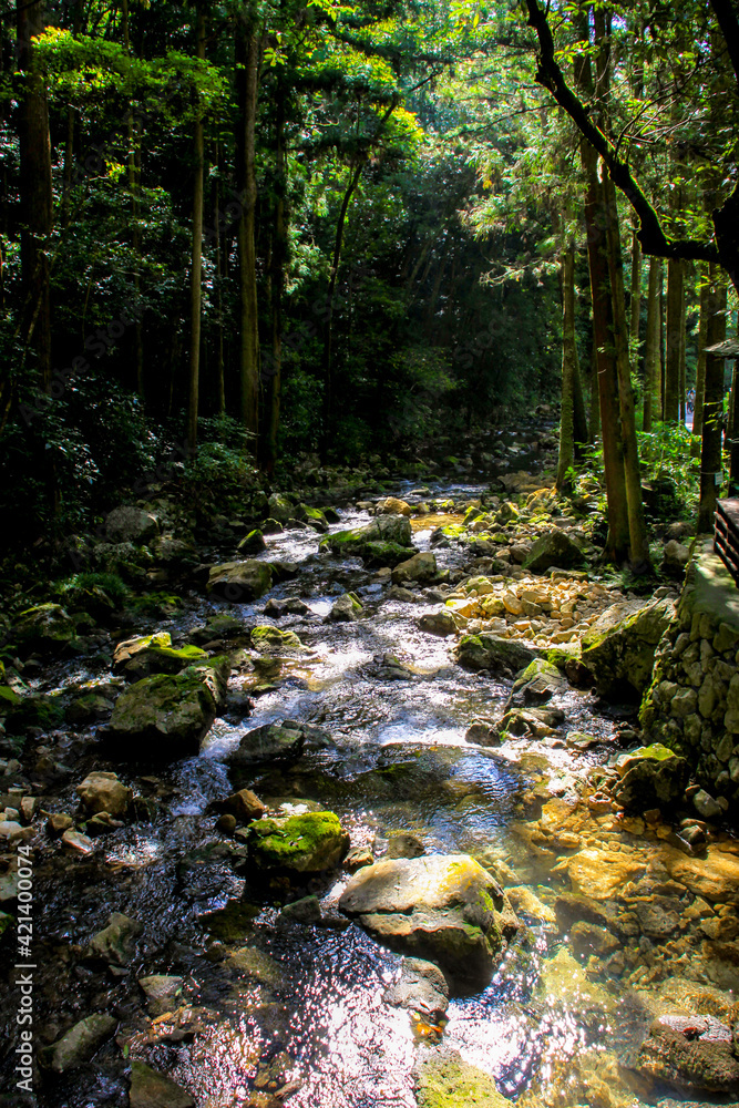 Obraz premium 秋芳洞