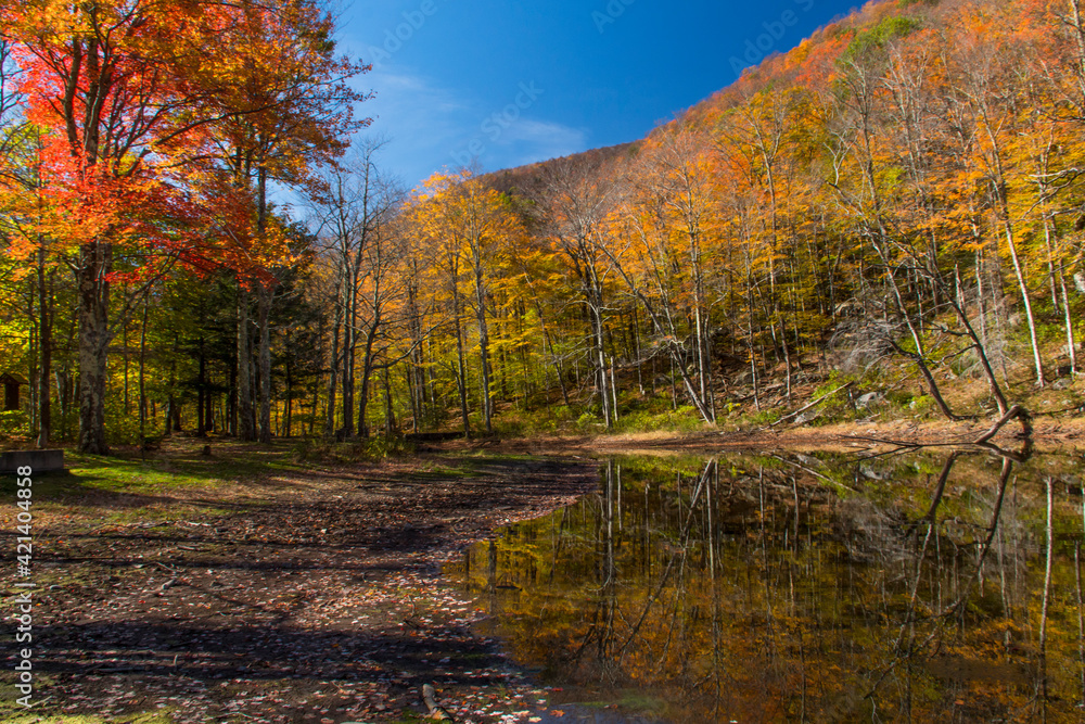 dramatic autumn landscape in North Lake campground in the Catskills upstate New York.