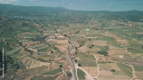 Aerial view of cactus and nopal agriculture in Mexican field photo