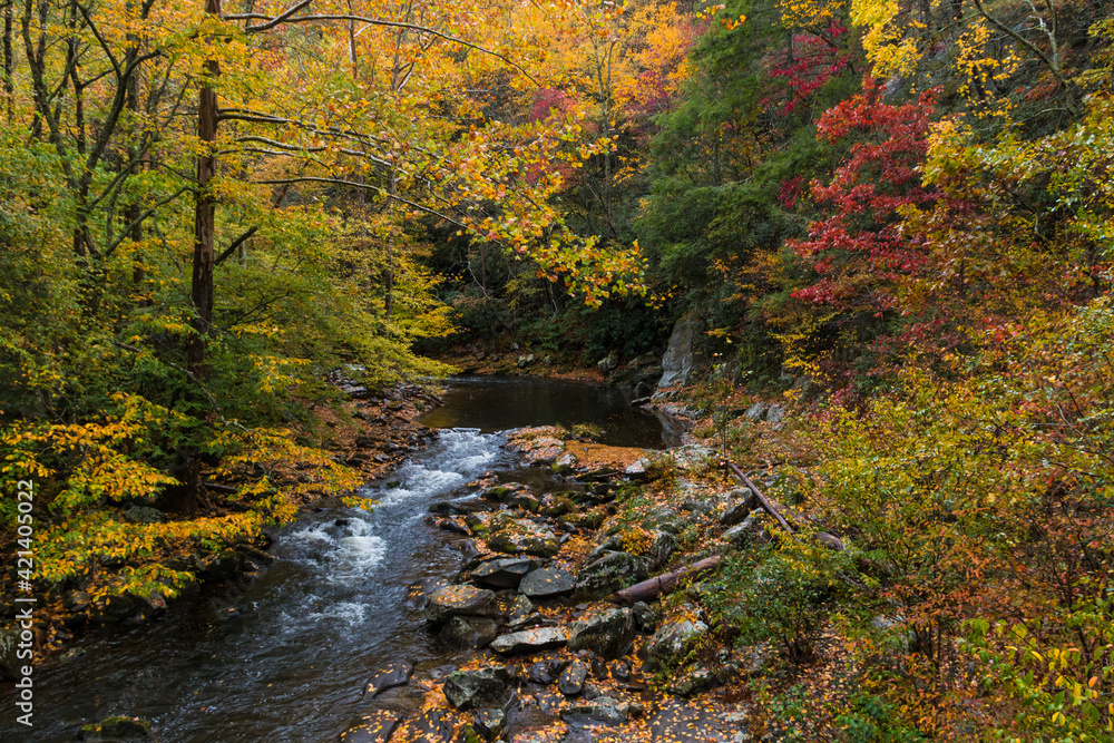 vibrant autumn foliage and peaceful cascading waterfalls in the Great Smoky Mountain National Park in Tennessee.