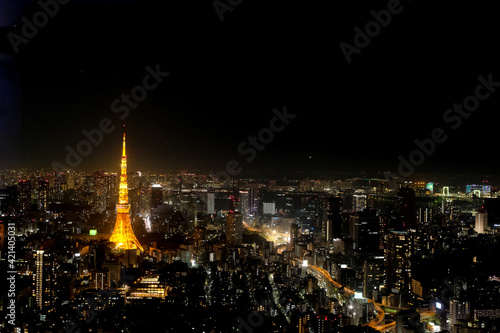 Tokyo Tower with a wonderful night view from Tokyo  Japan                                                            