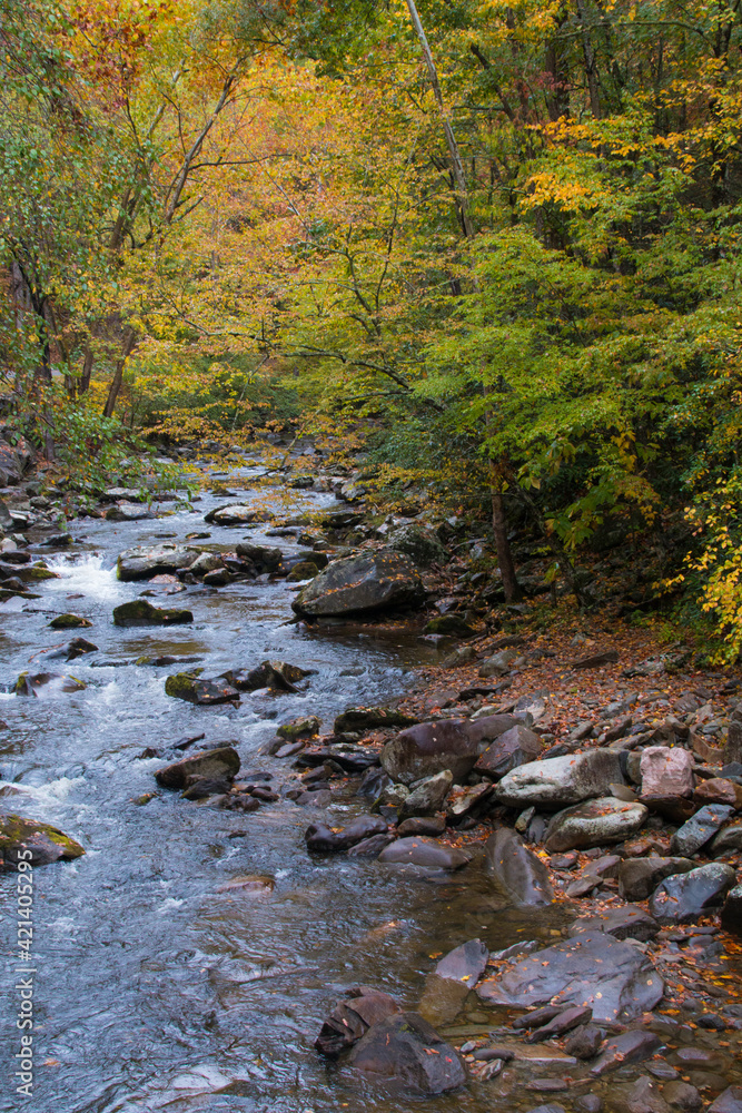 vibrant autumn foliage and peaceful cascading waterfalls in the Great Smoky Mountain National Park in Tennessee. vibrant autumn foliage and peaceful cascading waterfalls in the Great Smoky Mountain National Park in Tennessee.