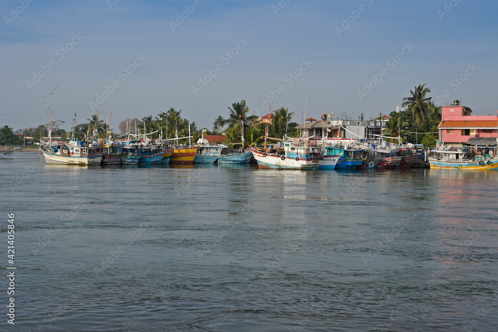 Colorful fishing boats crowd the shores of Negombo Lagoon in Sri Lanka.