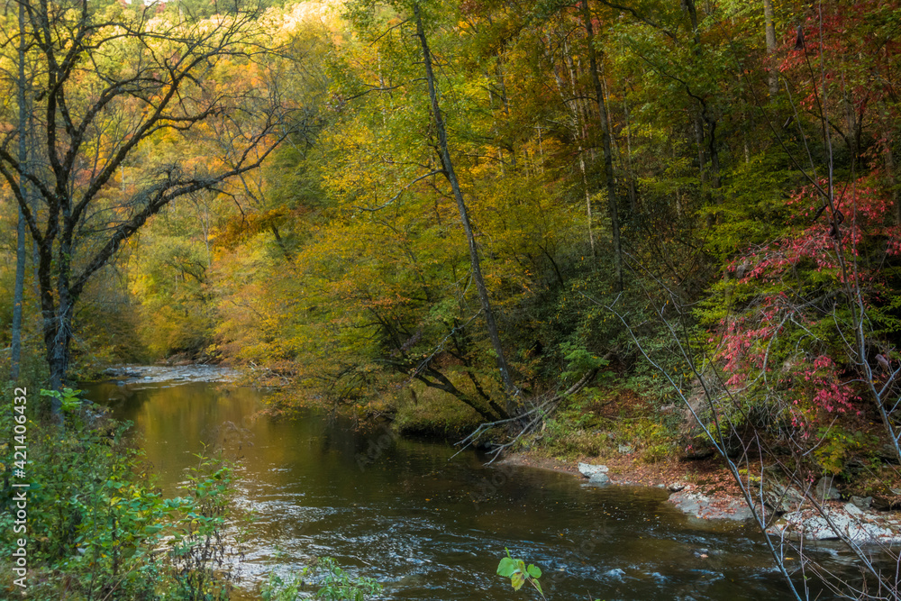vibrant autumn color in the mountains of the Great Smoky Mountain National Park in Tennessee vibrant autumn color in the mountains of the Great Smoky Mountain National Park in Tennessee