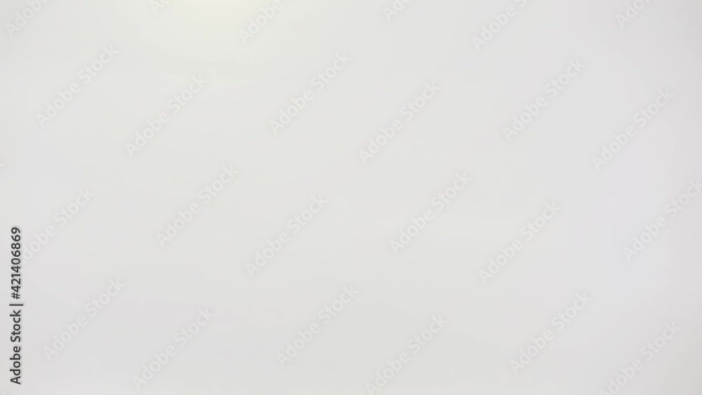 Pigeon flying Against White Sky. 4K Resolution. Pigeon flying Against White Sky. 4K Resolution.