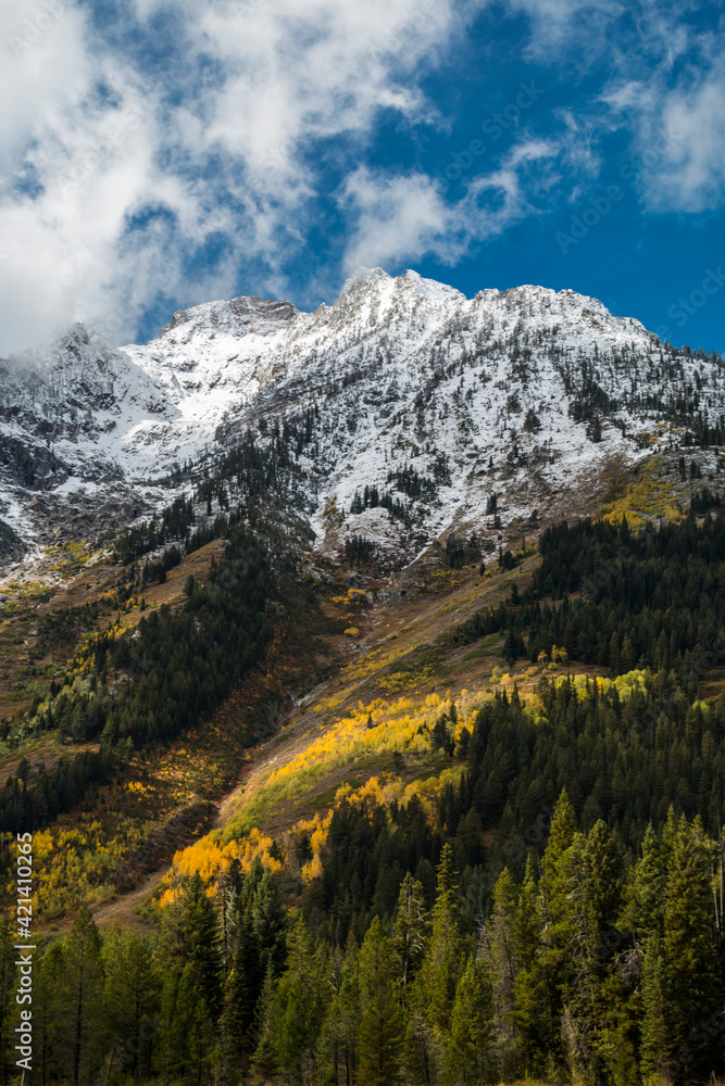 beautiful autumn landscape with snow capped peaks in the Grand Teton mountain range in  Jackson,Wyoming.