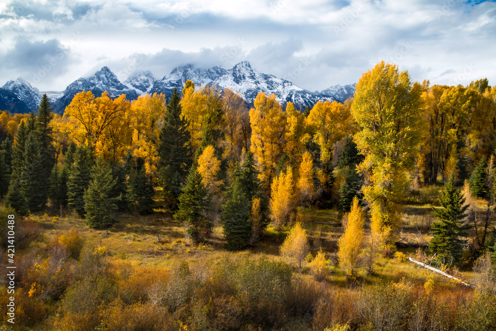 beautiful autumn landscape with snow capped peaks in the Grand Teton mountain range in  Jackson,Wyoming.