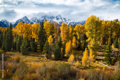 beautiful autumn landscape with snow capped peaks in the Grand Teton mountain range in Jackson,Wyoming.