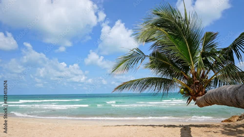 Tropical beautiful landscape of sea ocean around sand with white cloud blue sky for nature background
Tropical beautiful landscape of sea ocean around sand with white cloud blue sky for nature background