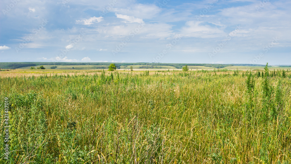 The Bugulma-Belebey Upland, the North-East of the Samara region. The Bugulma-Belebey Upland, the North-East of the Samara region.