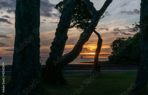 Silhouette and sunset