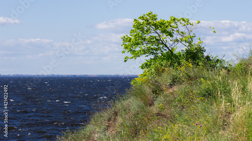 View of the river Volga from Molodetskiy Kurgan (one of the Zhiguli Mountains), Samara region. photo