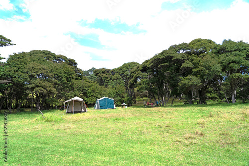 New Zealand camping scene