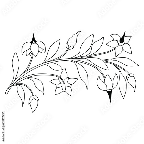 Foto Stylized branch with flowers