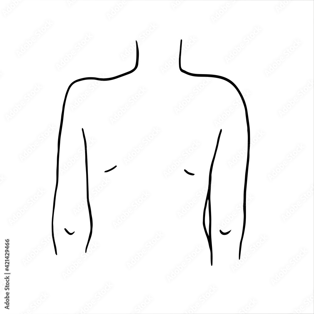 Drawing of a female body from the back - hand drawn vector sketch. Spine health check concept, posture checkup at doctor Drawing of a female body from the back - hand drawn vector sketch. Spine health check concept, posture checkup at doctor