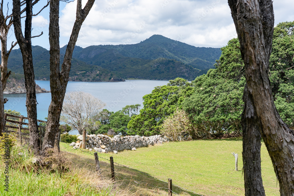 View over farm with dry stone wall and coastal pohutukawa trees to bay below