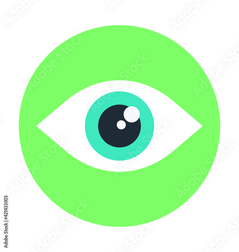 Eye Colored Vector Icon