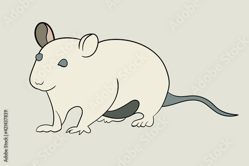 Rodents or house mice, one of the dangerous animals because it carries viruses to humans