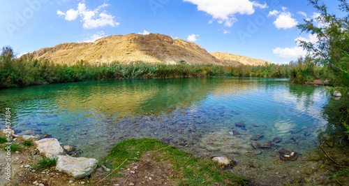 Foto Brackish water pool, in Einot Tzukim (Ein Feshkha) Nature Reserve