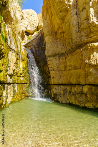 Hidden waterfall, Arugot stream, Ein Gedi Nature Reserve photo