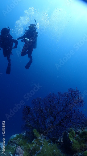 scuba water diving sea