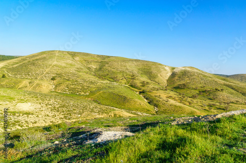 Fototapeta Naklejka Na Ścianę i Meble -  Rural landscape of the Yatir region