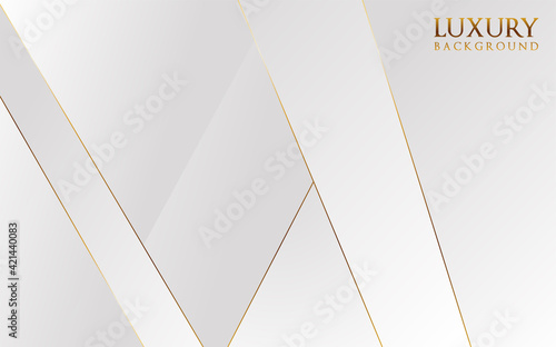 Luxury abstract light silver background vector. Elegant concept design with golden line