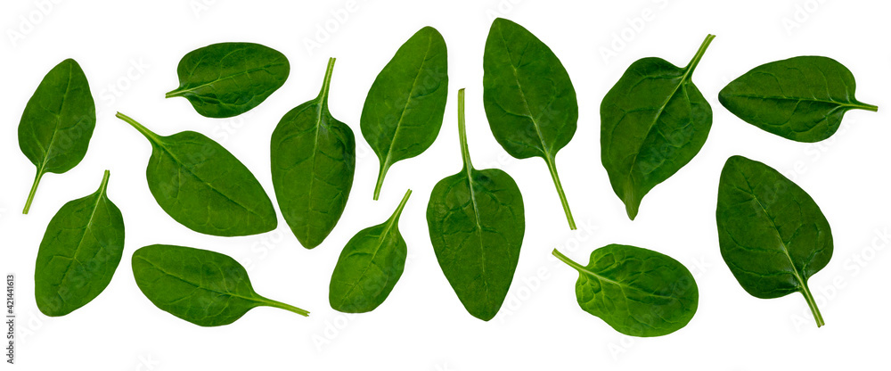Fototapeta Spinach background composition. Top view, Banner